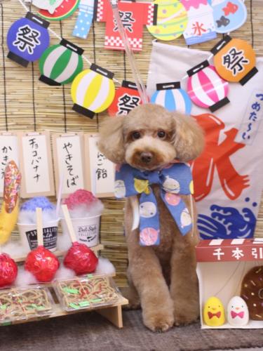 20240716レオくん